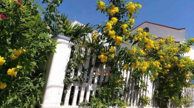 Lovely Small House For Rent In Da Nang