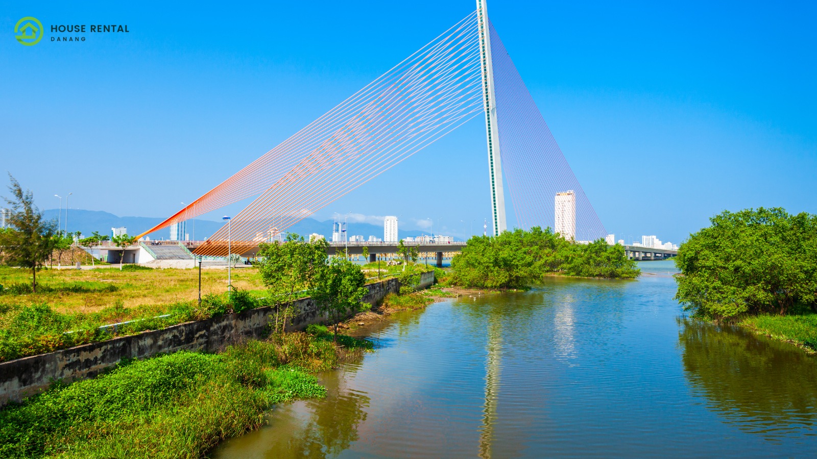 Tran Thi Ly Bridge: An Iconic Landmark in Vibrant Da Nang City