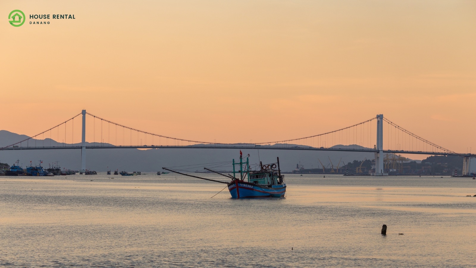 Tran Thi Ly Bridge: An Iconic Landmark in Vibrant Da Nang City