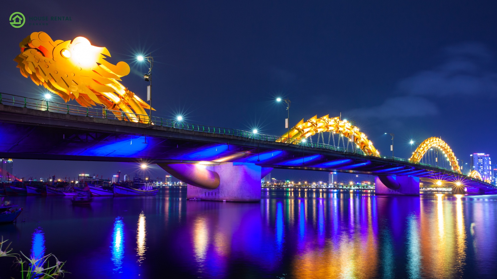 Exploring the Magnificent Dragon Bridge in Da Nang, Vietnam