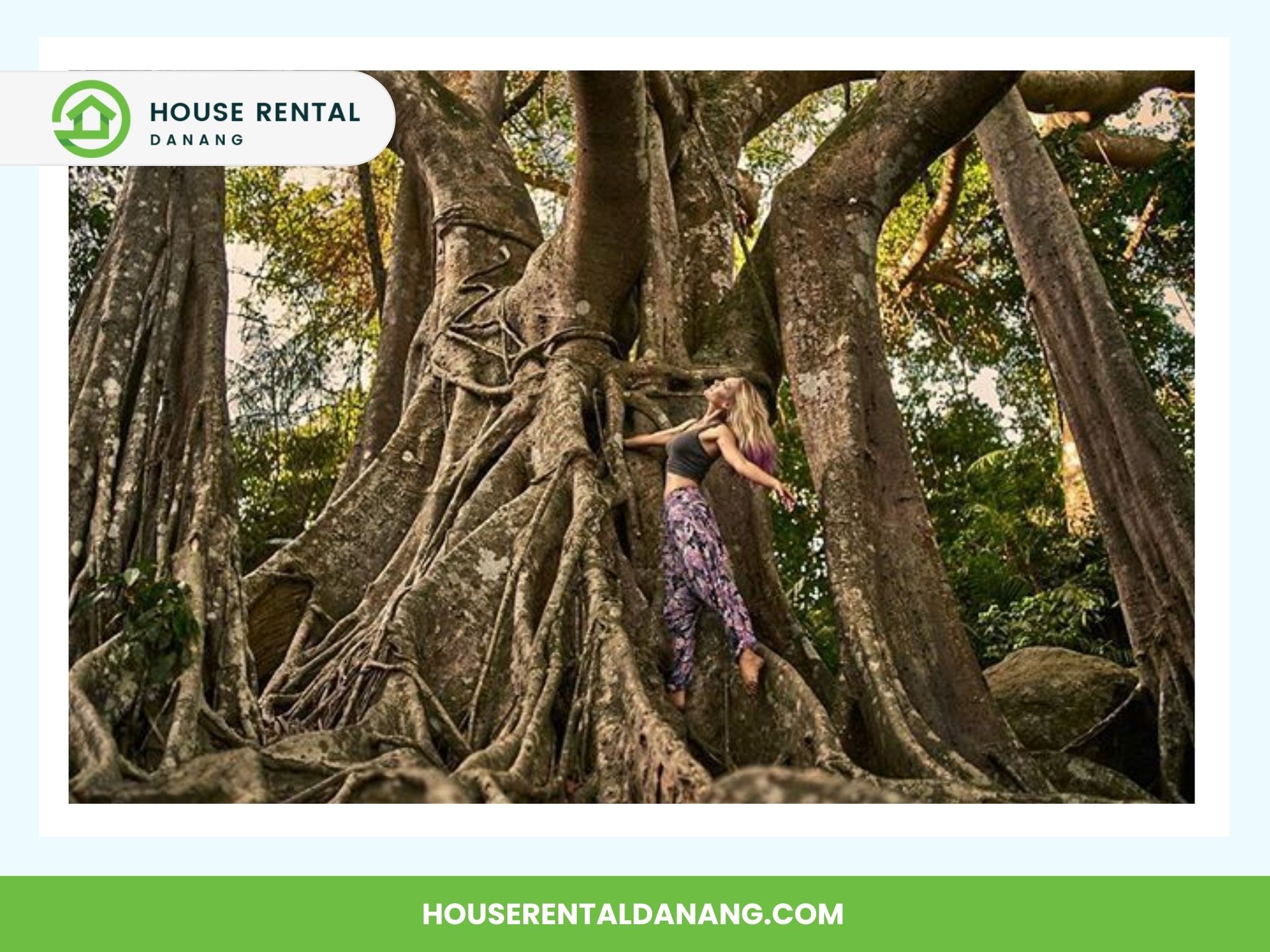 A person stands between large, intertwined tree roots in a forest near Ban Co Peak. The image is branded with "House Rental Danang" and the website "HOUSERENTALDANANG.COM" at the bottom.