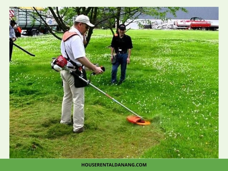 Dịch Vụ Cho Thuê Máy Cắt Cỏ Tại Đà Nẵng Giá Rẻ, Thủ Tục Nhanh Chóng Cho thuê máy cắt cỏ tại Đà Nẵng