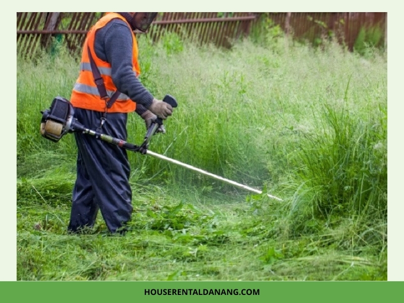 Dịch Vụ Cho Thuê Máy Cắt Cỏ Tại Đà Nẵng Giá Rẻ, Thủ Tục Nhanh Chóng cho thuê máy cắt cỏ Đà Nẵng