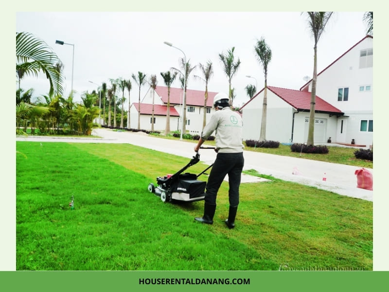 Dịch Vụ Cho Thuê Máy Cắt Cỏ Tại Đà Nẵng Giá Rẻ, Thủ Tục Nhanh Chóng cho thuê máy cắt cỏ Đà Nẵng
