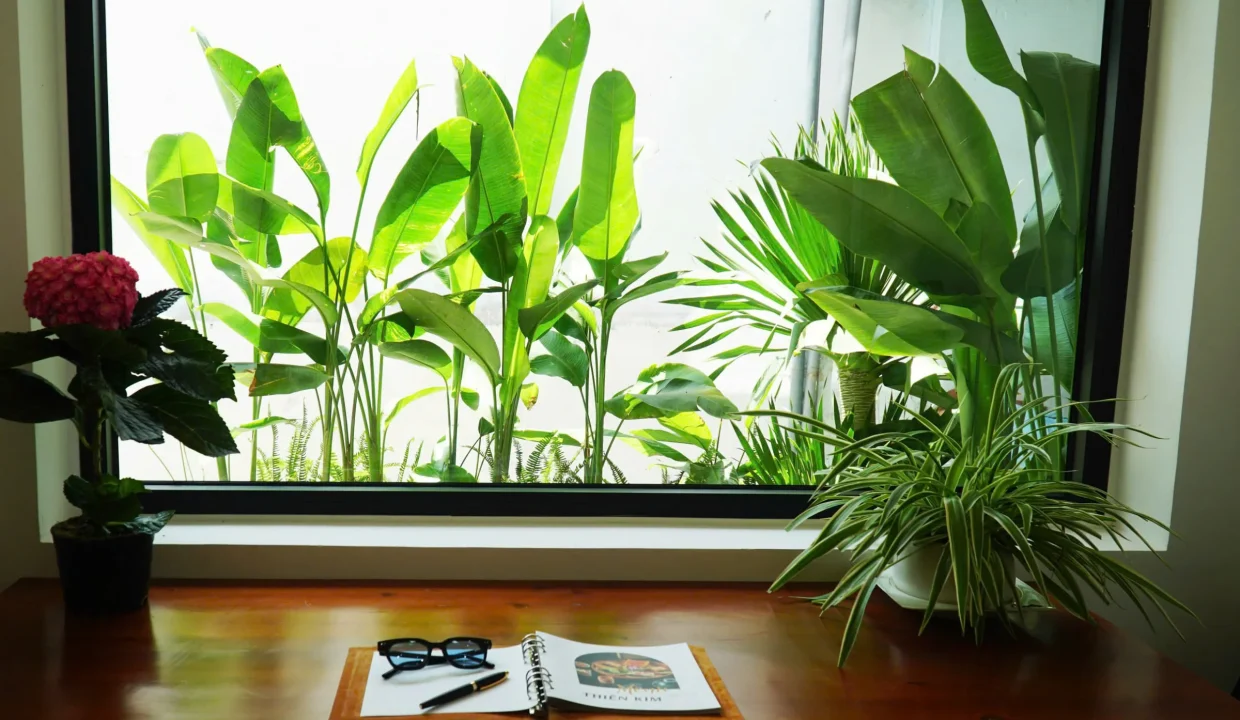 Light-Filled Beachside 2-Bedroom House for Everyday Da Nang Living - photo 6